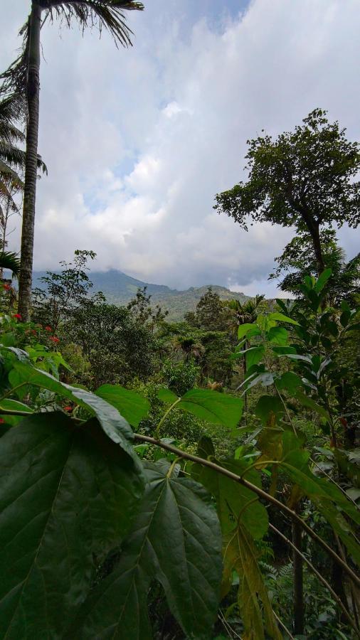 Pepper County Farm Stay Munnar Exterior foto