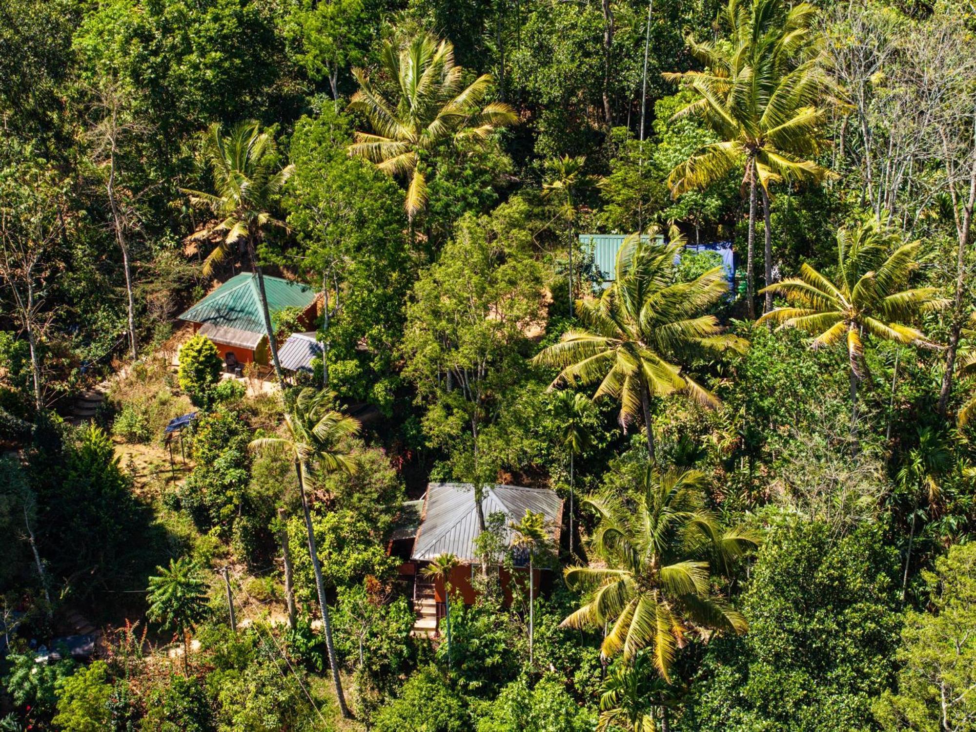 Pepper County Farm Stay Munnar Exterior foto